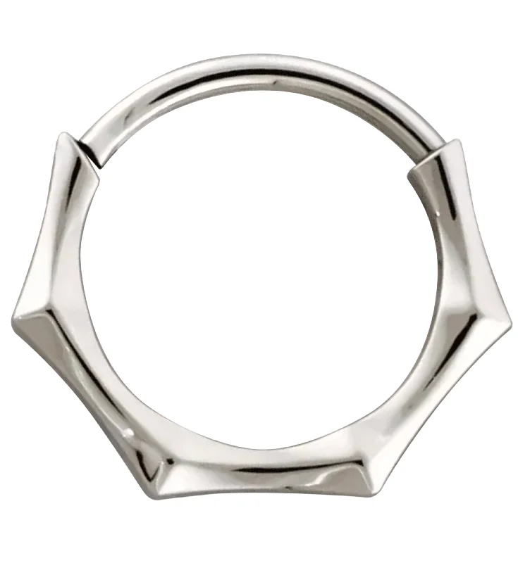 Burnished name rings-Sector Titanium Hinged Segment Ring