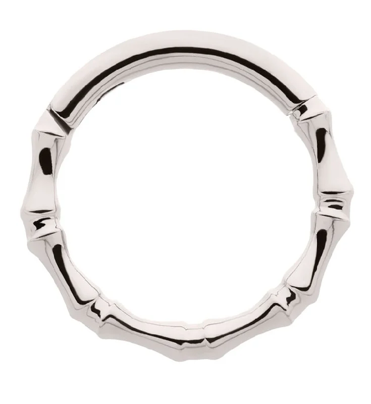 Kelp inlay rings-Copula Titanium Hinged Segment Ring