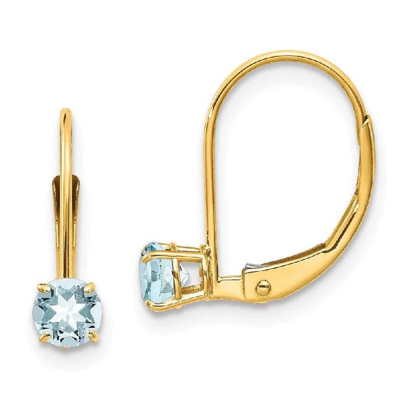 Timeless flair earrings-14k Aquamarine Earrings - March