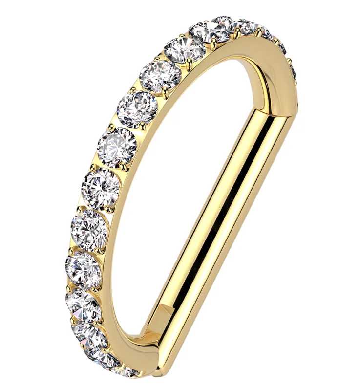 Satin silver rings-Gold PVD Outward Facing Deca Clear CZ Titanium D-Shaped Hinged Segment Ring