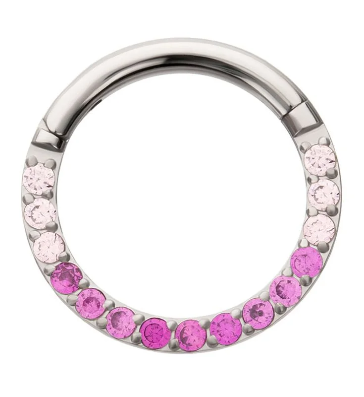 Mirror gloss rings-Pink Ombre CZ Titanium Hinged Segment Ring